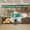NBR Diaphragm Regulator – Precision, Protection, Performance - Thumbnail Image 1