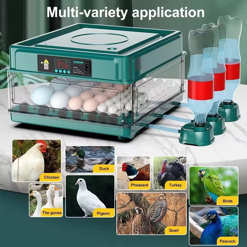 Fully Automatic Egg Incubator - Image 4