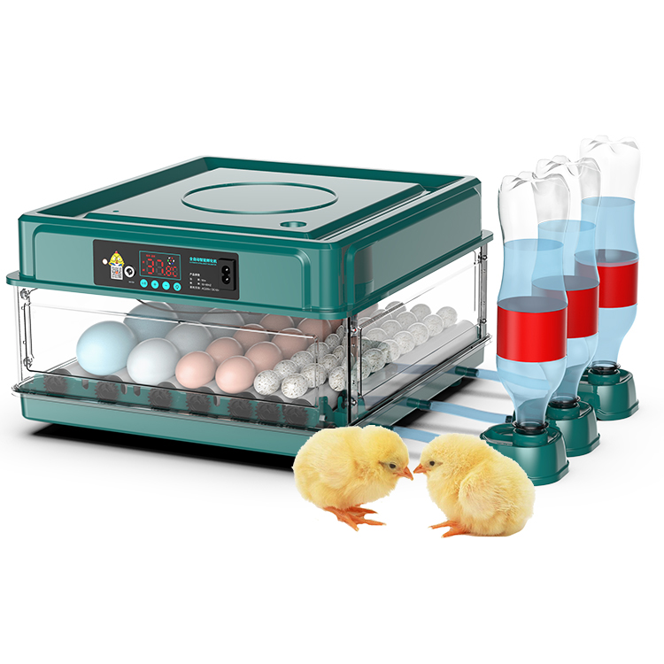 Fully Automatic Egg Incubator - Image 1
